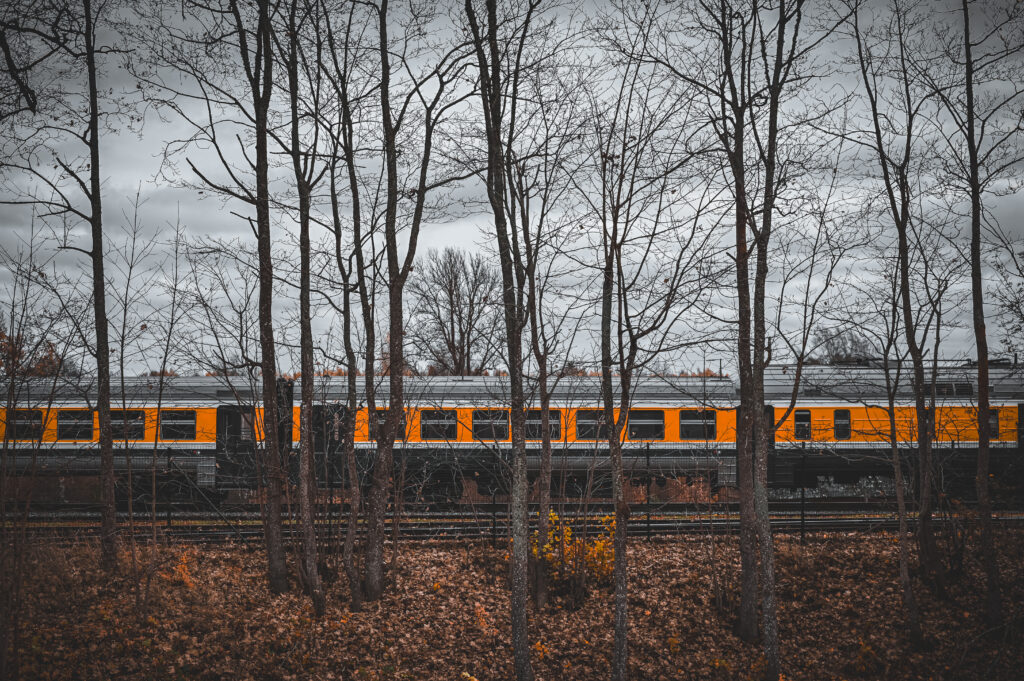 Z62_3203